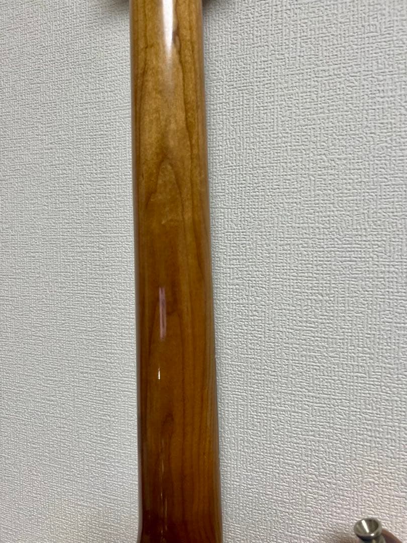 ギター Tagima STELLA custom