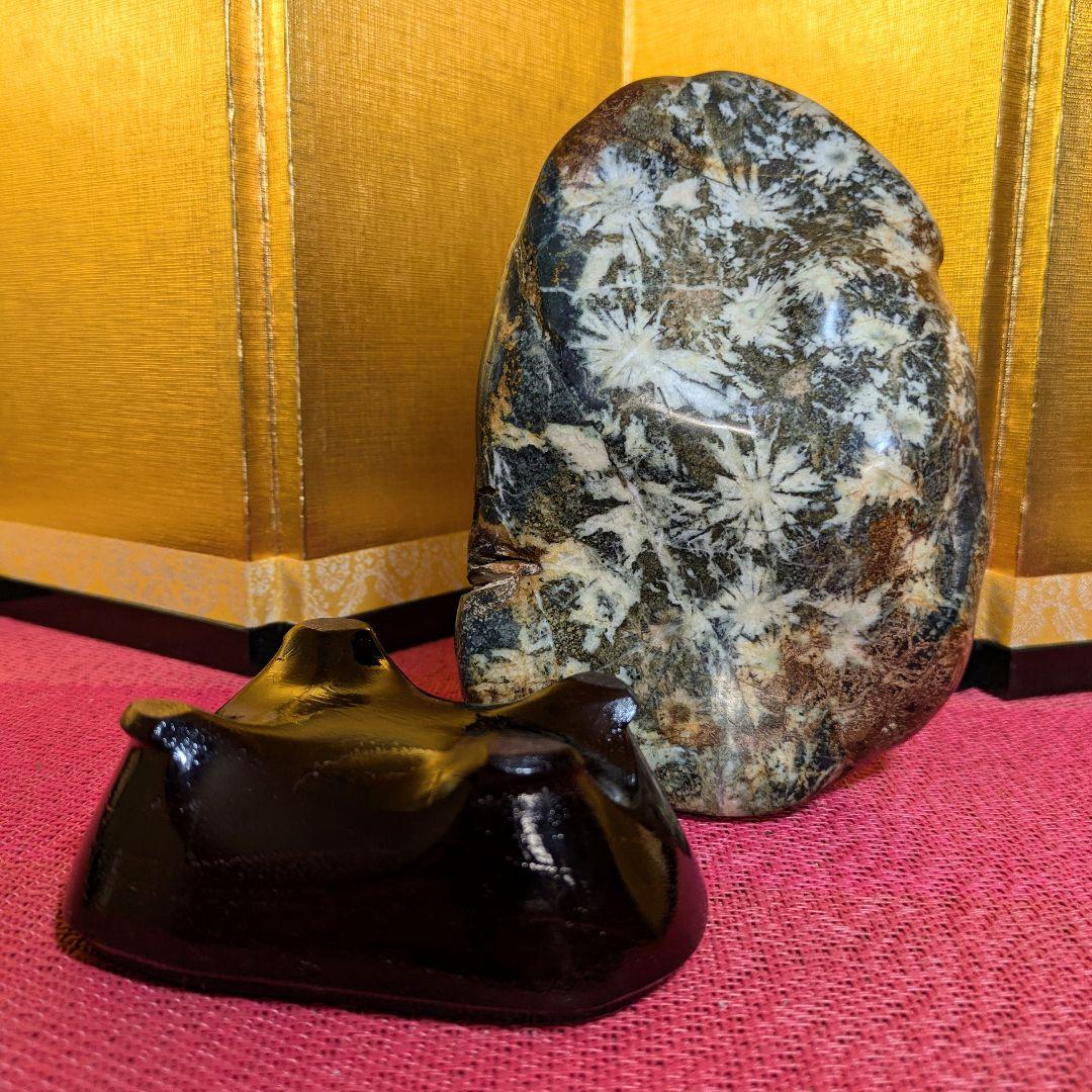 【だまやん】菊花石 岐阜県根尾谷産1.7㌔ 鑑賞石 観賞石 水石 盆石