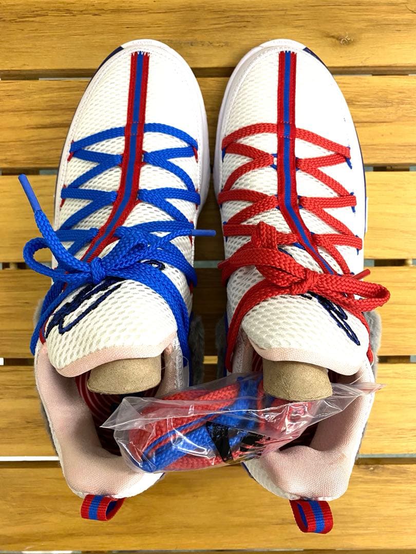 シューズ(男性用) NIKE LEBRON XVII LOW \"TUNE SQUAD\" 28cm