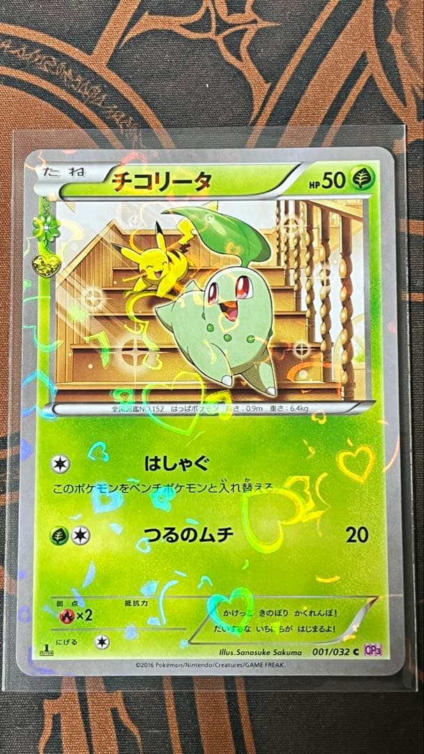 チコリータ cp3 3枚