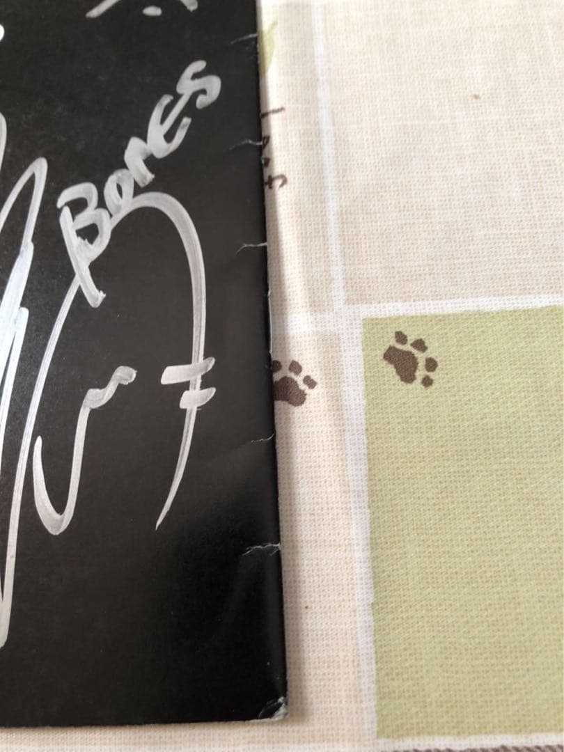 ストレンヂア 直筆イラストサイン入り 宮野真守 南雅彦 安藤真裕 ジャンク品