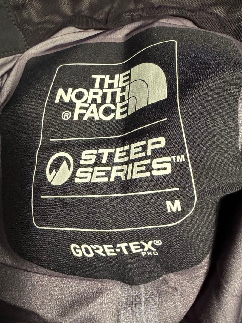 THE NORTH FACE ザ・ノース・フェイス APEX GTX RTGビブ