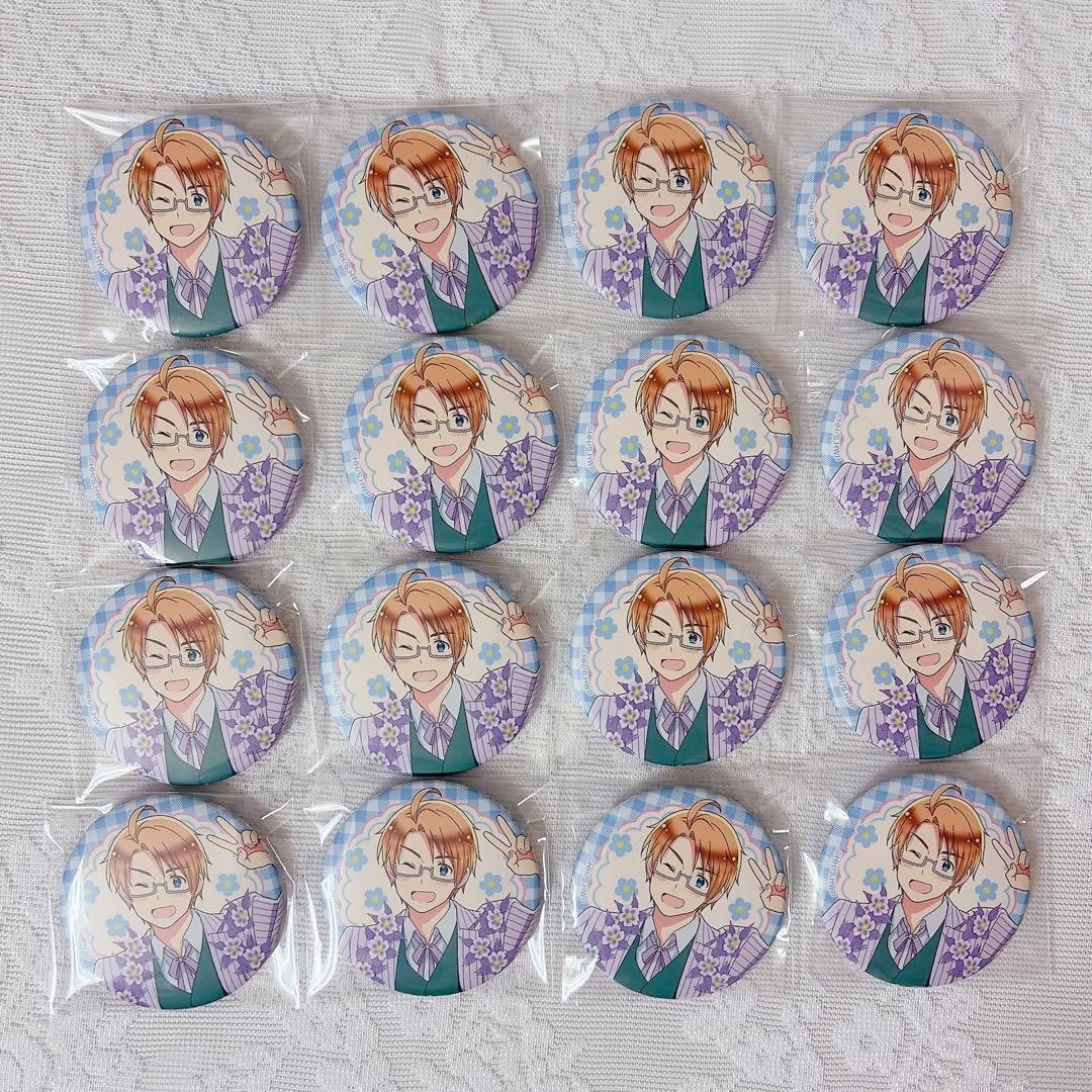 ヘタリア フラワーパレード アメリカ 缶バッジ 16点