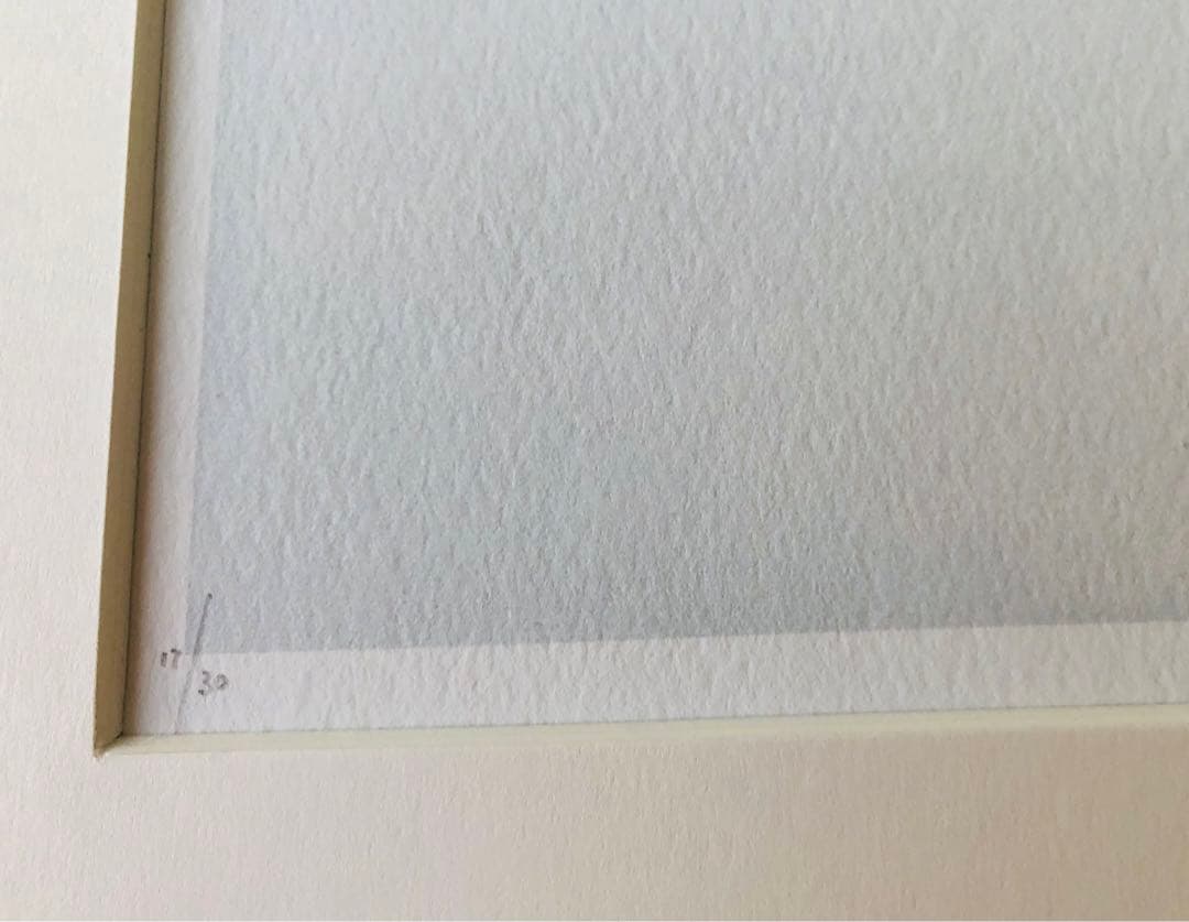 Nuno Viegas（ヌーノ・べガス) 「Glove」ジクレー　額装あり