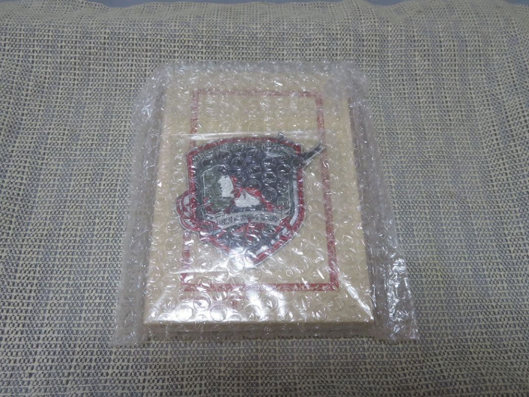 エースコンバット　姫君の青い鳥　ラーズグリーズワッペン