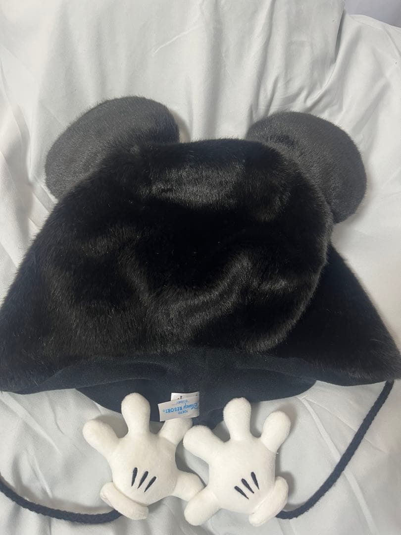 ミッキーマウス ディズニーファン