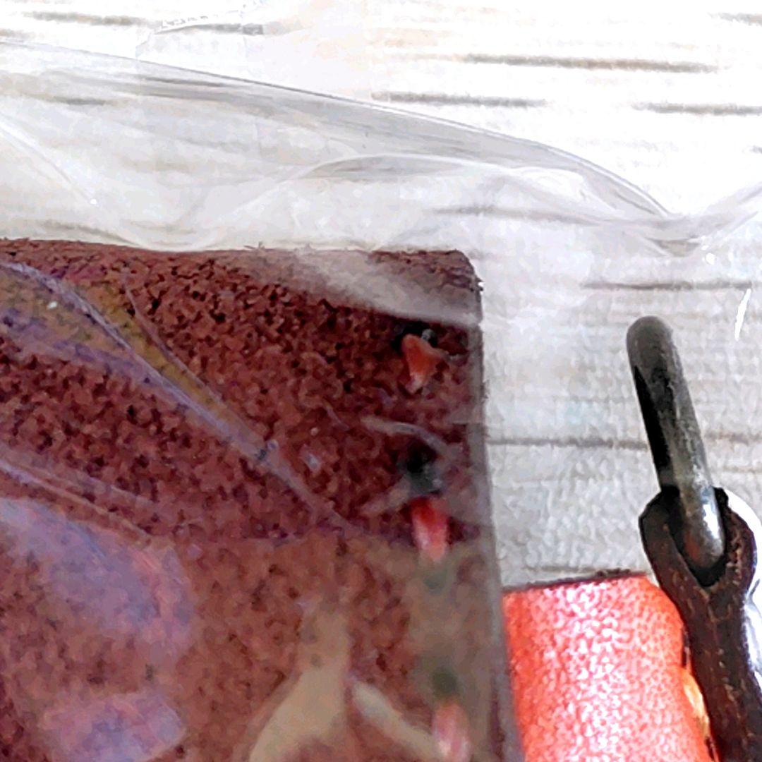 【送料無料】ジブリの大倉庫限定品　ショルダーポーチ/オリジナルネコバス