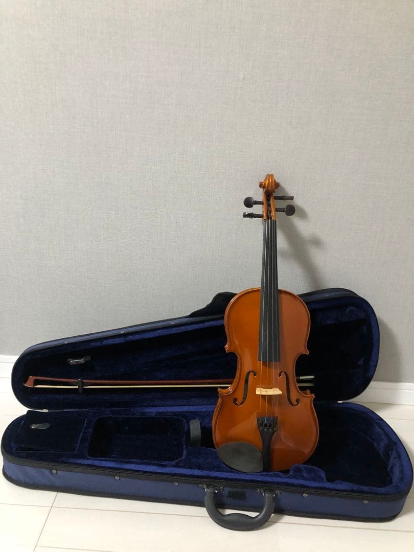 【バイオリン】Cathedral カテドラル