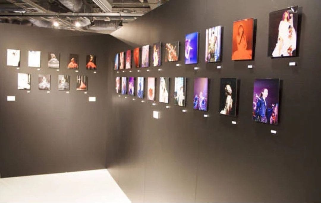 激レア 希少 浜崎あゆみ The Show Must Go On 写真展 ドレス