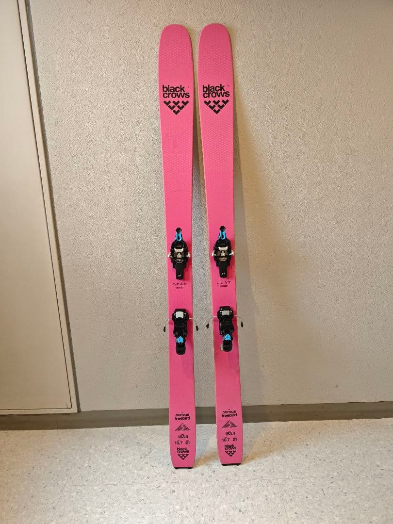 スキー black crows corvus freebird tecton