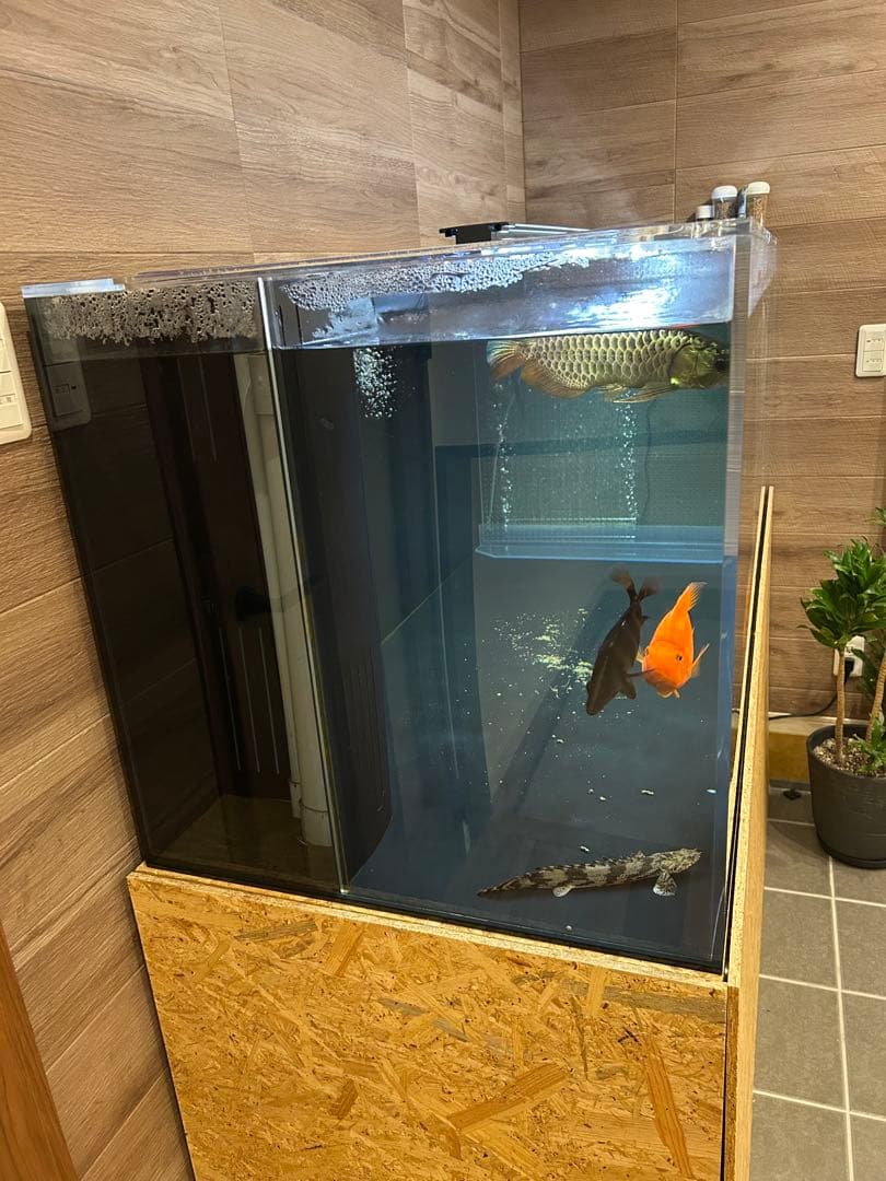 【大型オーバーフロー水槽一式】1800×600×600 黒アクリル・即立ち上げ可