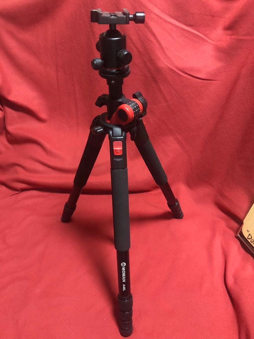 TheArth 生刷りパレ子③