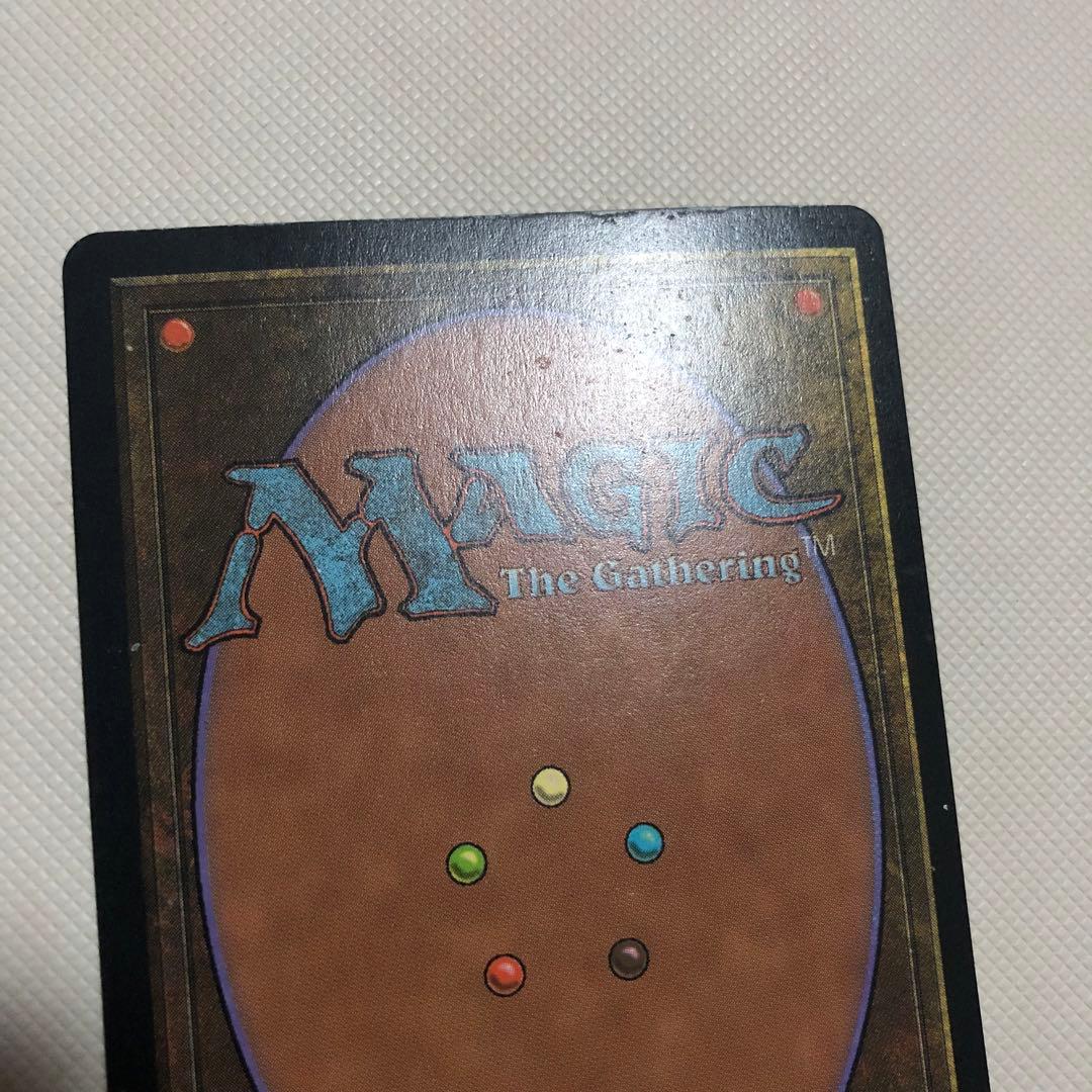 水蓮の花びら 4枚セット 中国語 繁体字 他言語 mtg