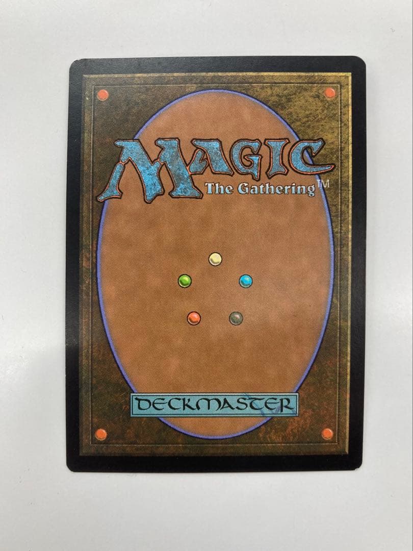 Mtg ヤヴィマヤの沿岸 ポルトガル語 foil