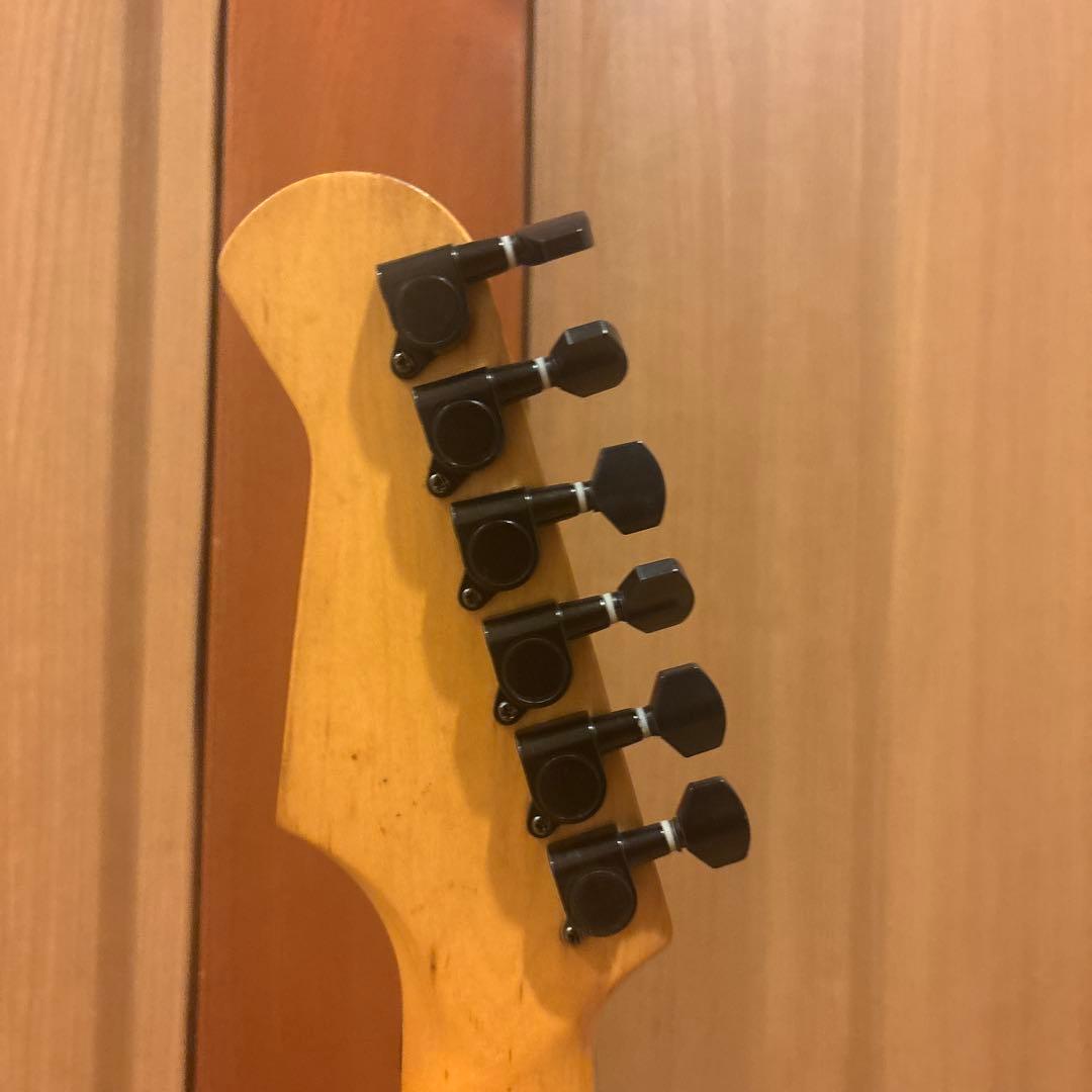 フロイトローズタイプ FERNANDES アクティブ回路 アーム付 新品弦張替済