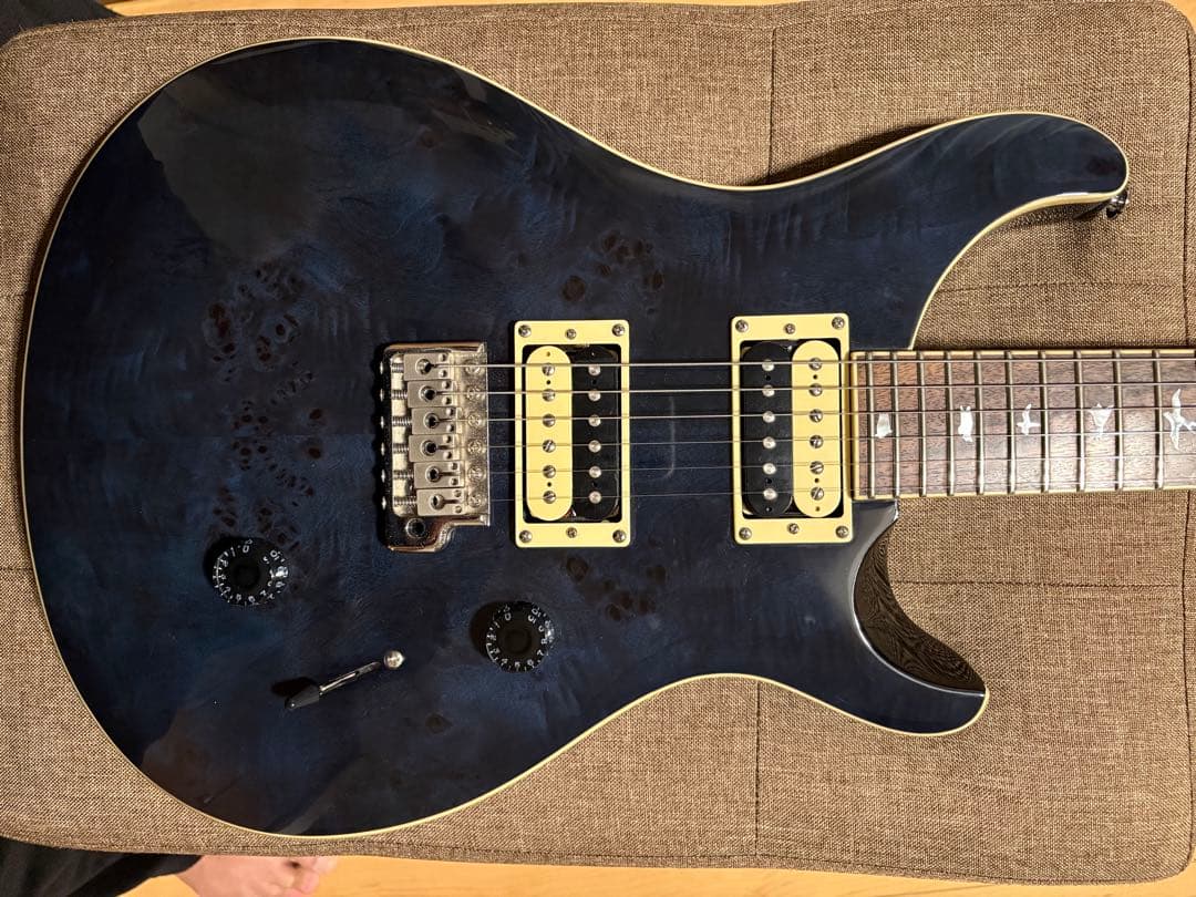 ギター Paul Reed Smith SE Custom 24 Whale Blue