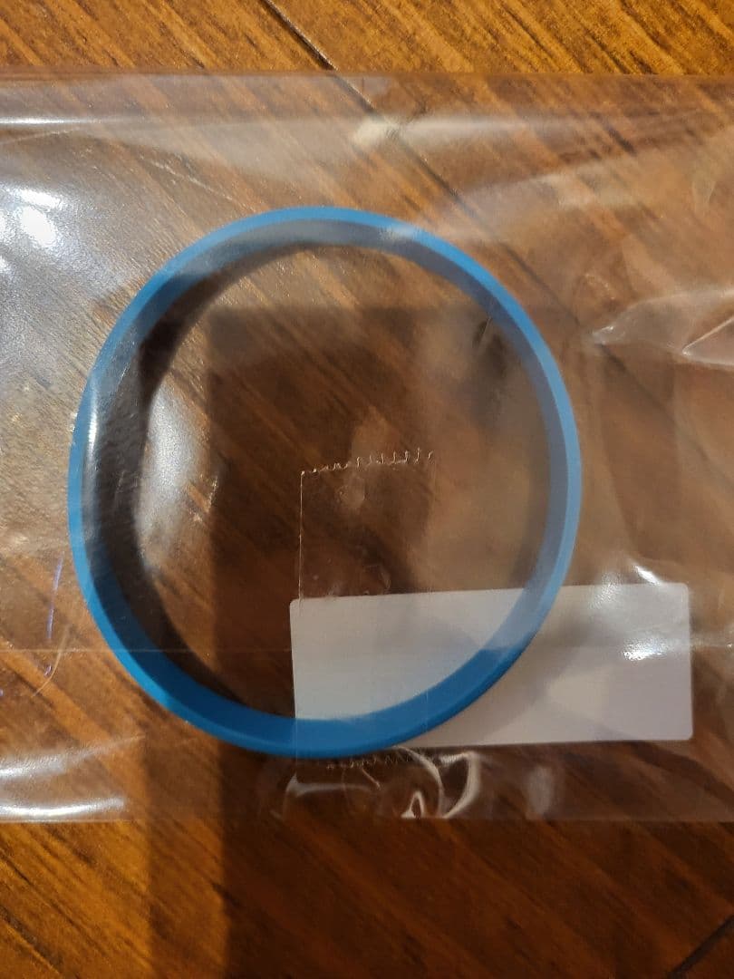 宮崎友花 バドミントン青リング