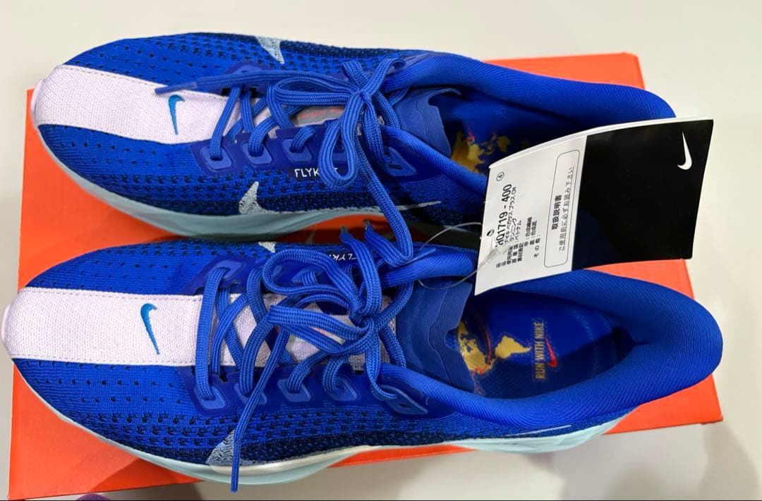 Nike ペガサスプラスCM ランニングシューズ　青　25.5㎝　H1