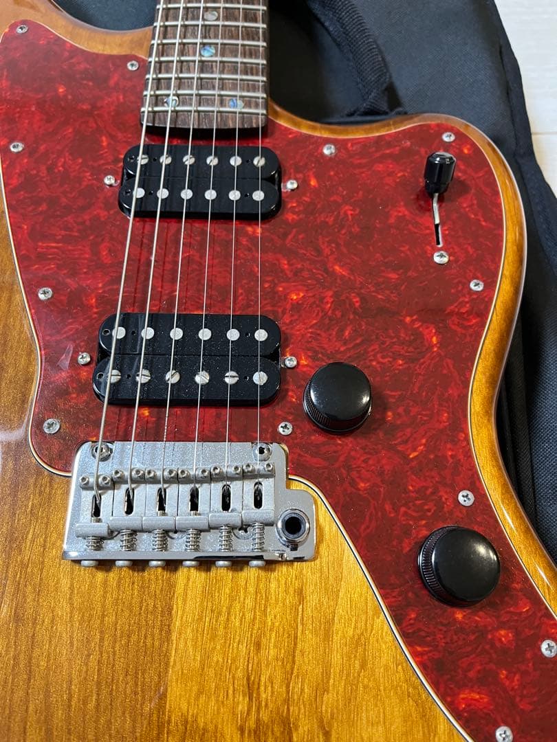 サイケデリズム サイコマスター 2H 24F レア Psychederhythm