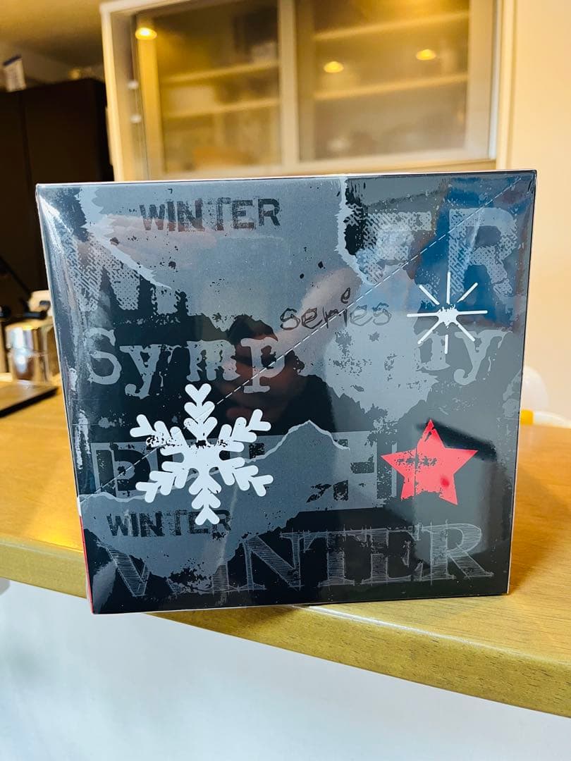 正規品POPMART SKULLPANDA WinterSymphony1セット