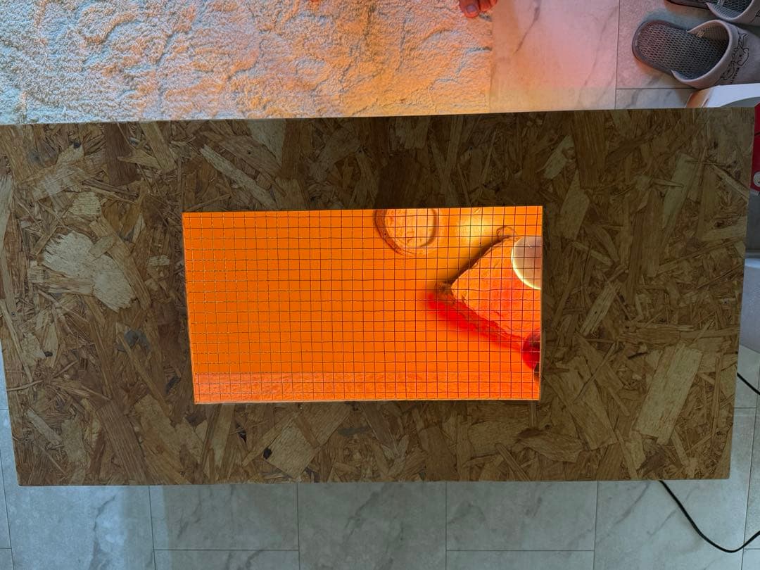 木製飼育ケージ セット ヒーター・照明 • シェルター • 餌皿付き