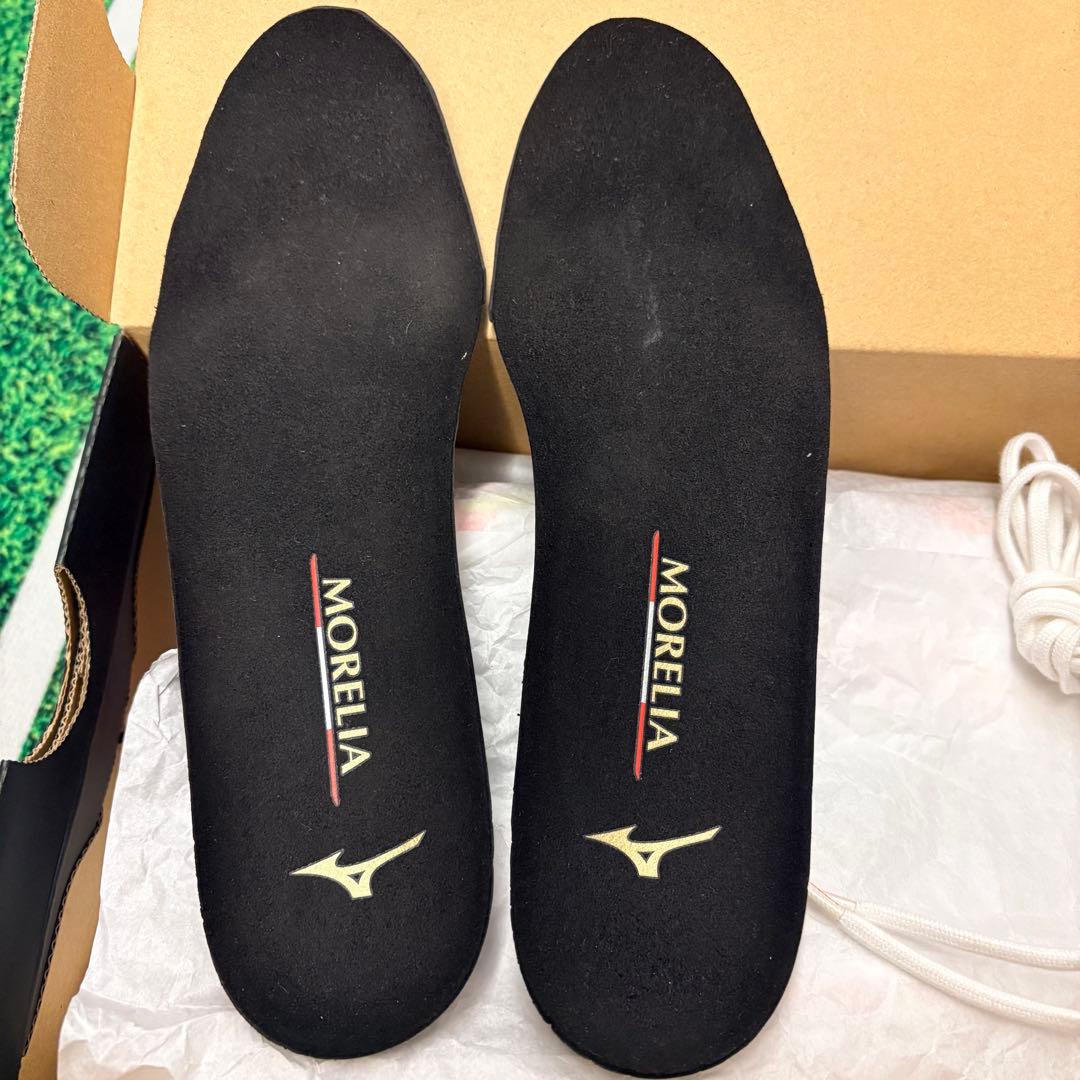 ミズノ モレリアネオサラβ JAPAN TF （25.0㎝）