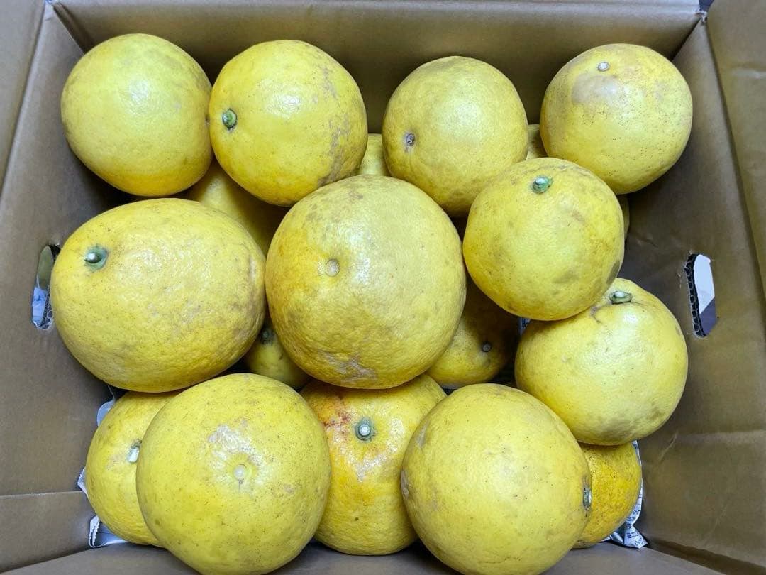 アンパンマン 　サワーポメロ 鹿児島産　箱込み9.3㎏　無農薬　農薬不使用