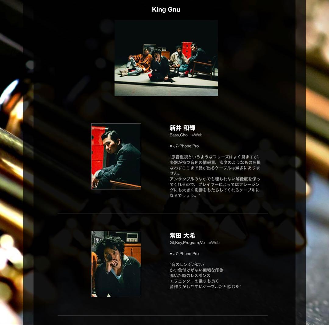 常田大希 パッチケーブル セット orb J7-Phone Pro 激安