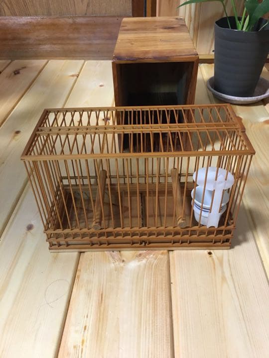 竹籠　鳥籠　箱セット