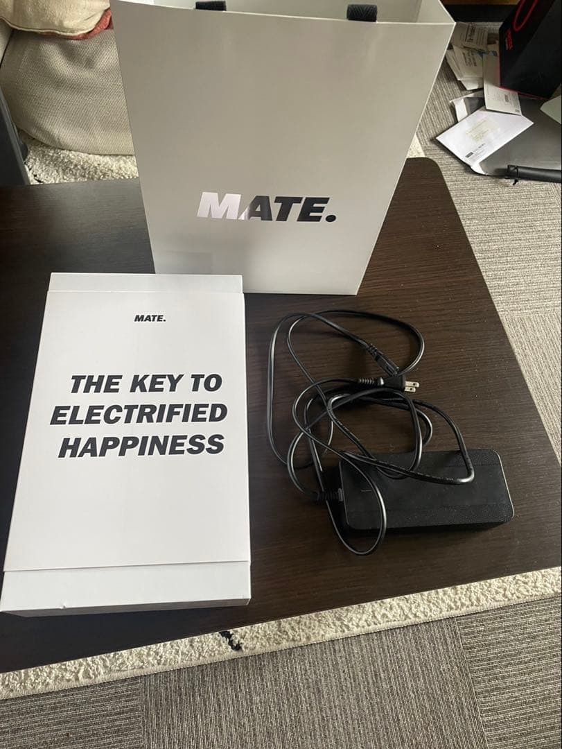 MATE X 250W 電動自転車 ブラック