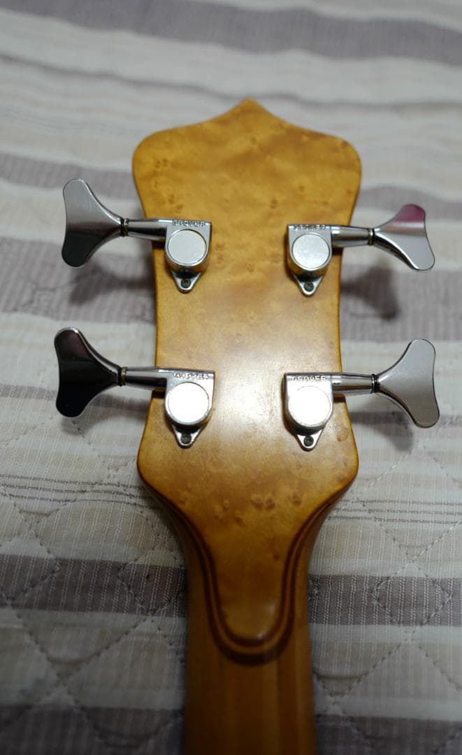 限定！ Alembic Persuader Fretless エポキシ