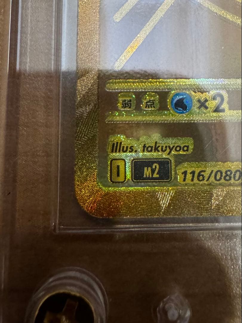 メガリザードンX mur