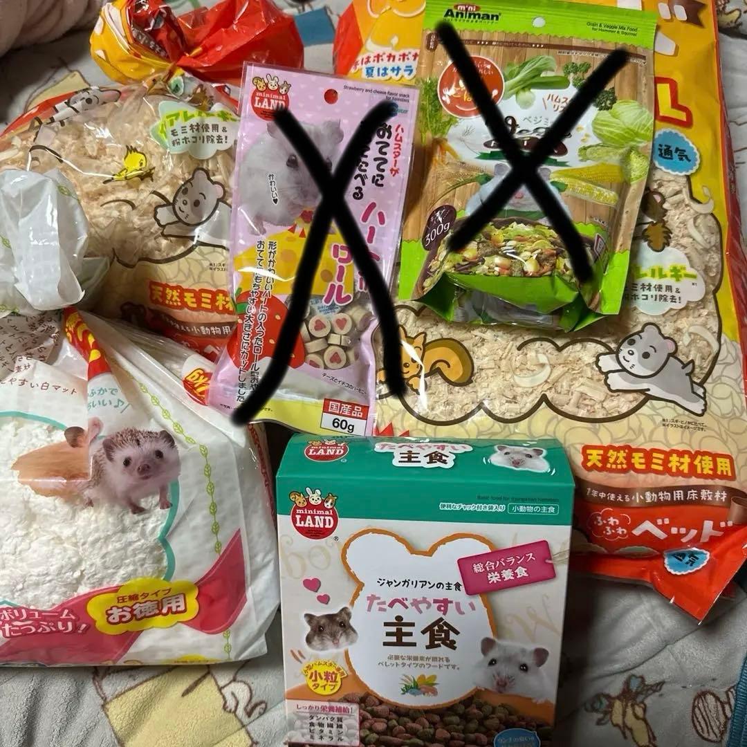 ルーミィグランスペースクリアー 床材と餌と砂付き