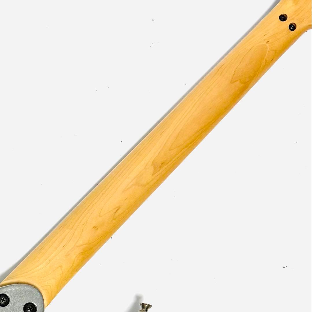 超希少カラー Anboy DN-50M フジゲンMade in Japan