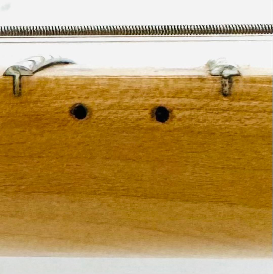 超希少カラー Anboy DN-50M フジゲンMade in Japan