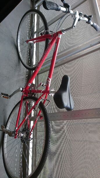 アメリカンイーグル