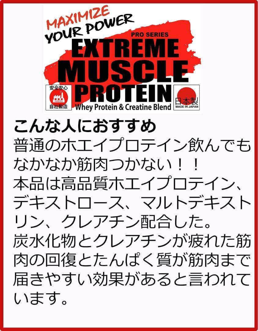 国産プロテイン10kg激安 マイプロテック プロテイン チョコ味X 送料無料