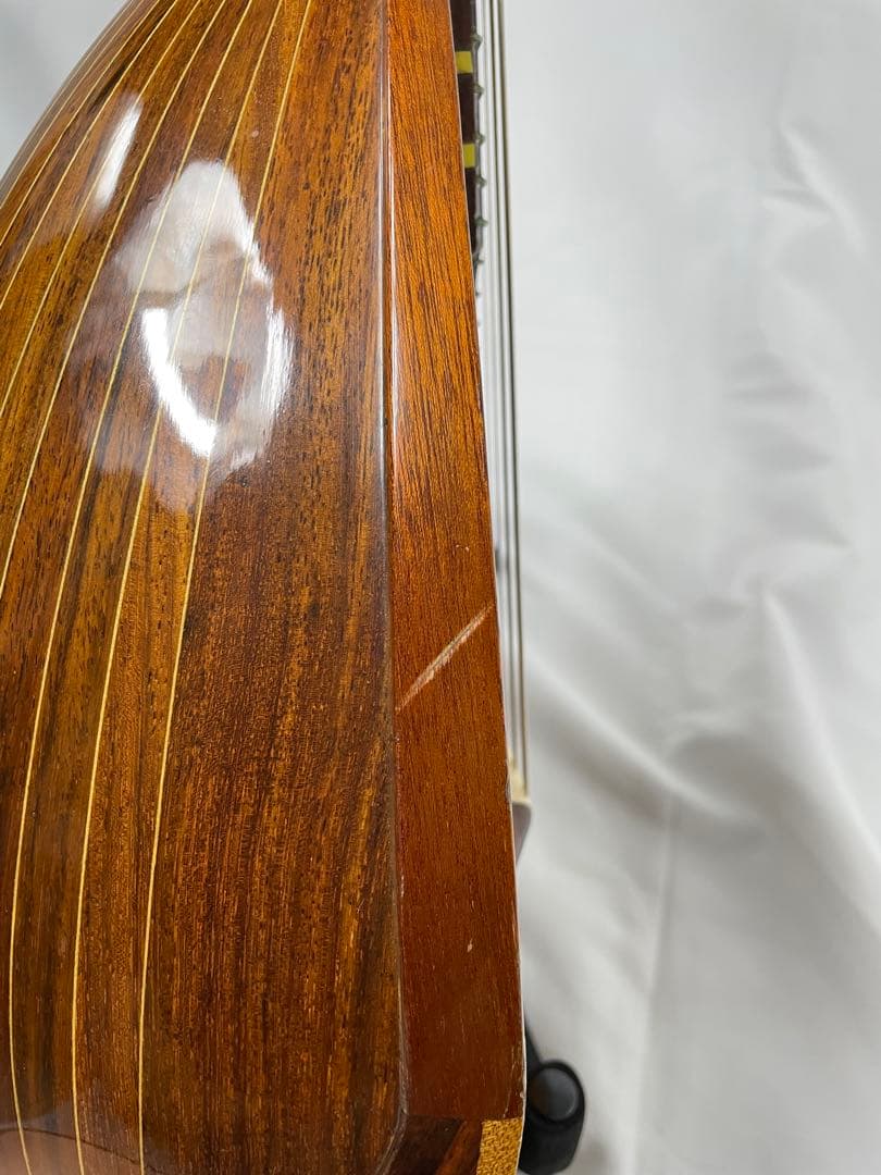 ラファエレ・ カラーチェ マンドリン No.24