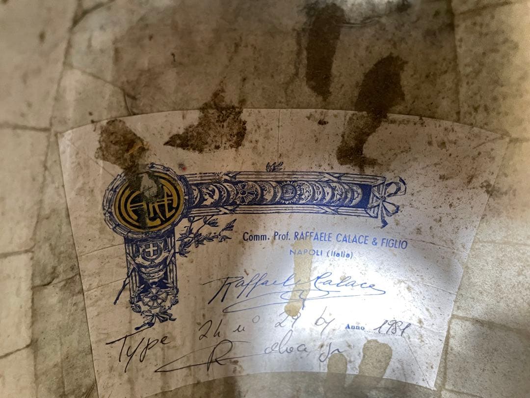 ラファエレ・ カラーチェ マンドリン No.24