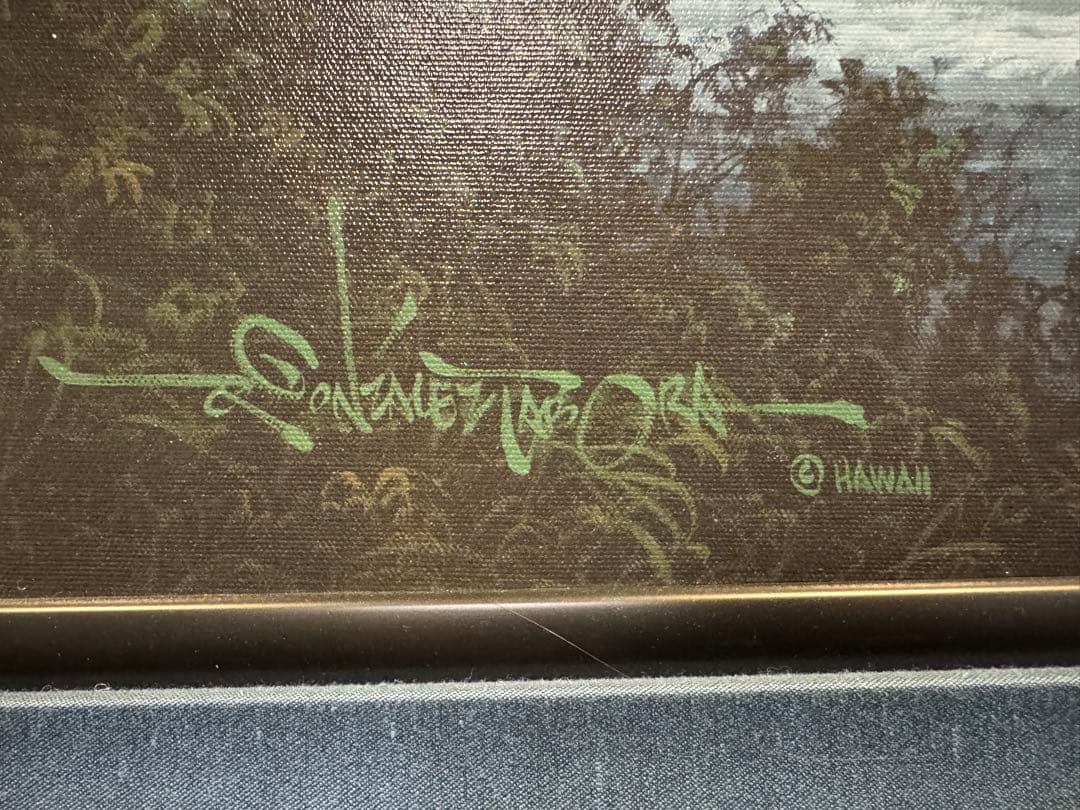 1点物　美品　ロイ.タボラ Jewel of the Night