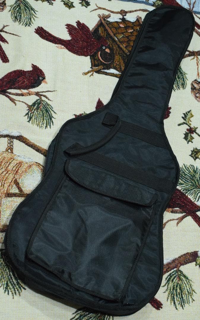 Samick YV560-TGR 24フレット