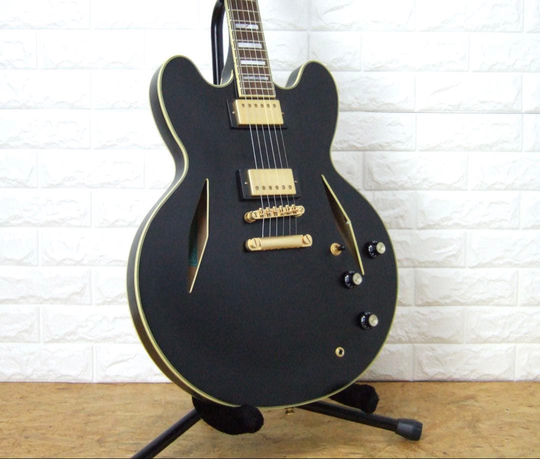 Epiphone Emily Wolfe Sheraton エミリー・ウォルフ