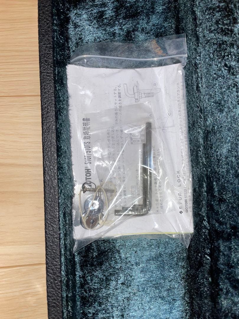 FUJIGEN eos ギター