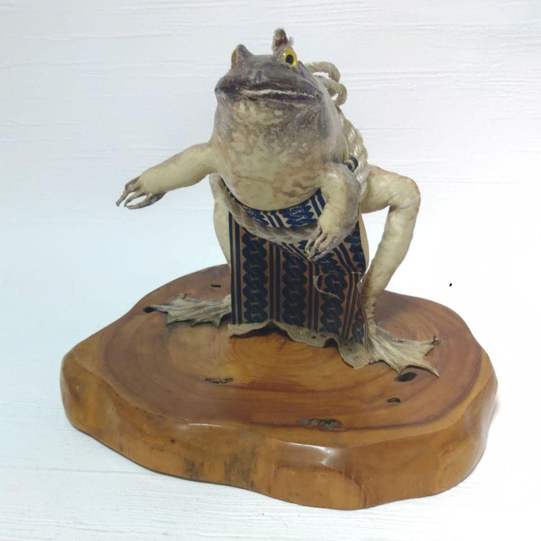 蛙力士　ウシガエルの横綱　土俵入り　カエルの置物　相撲　置物　剥製　昭和レトロ