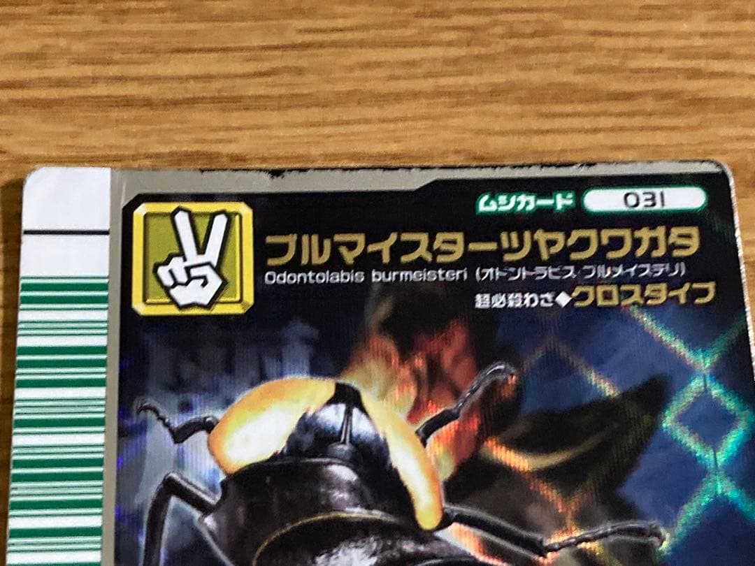 甲虫王者ムシキング　2007 カード5枚