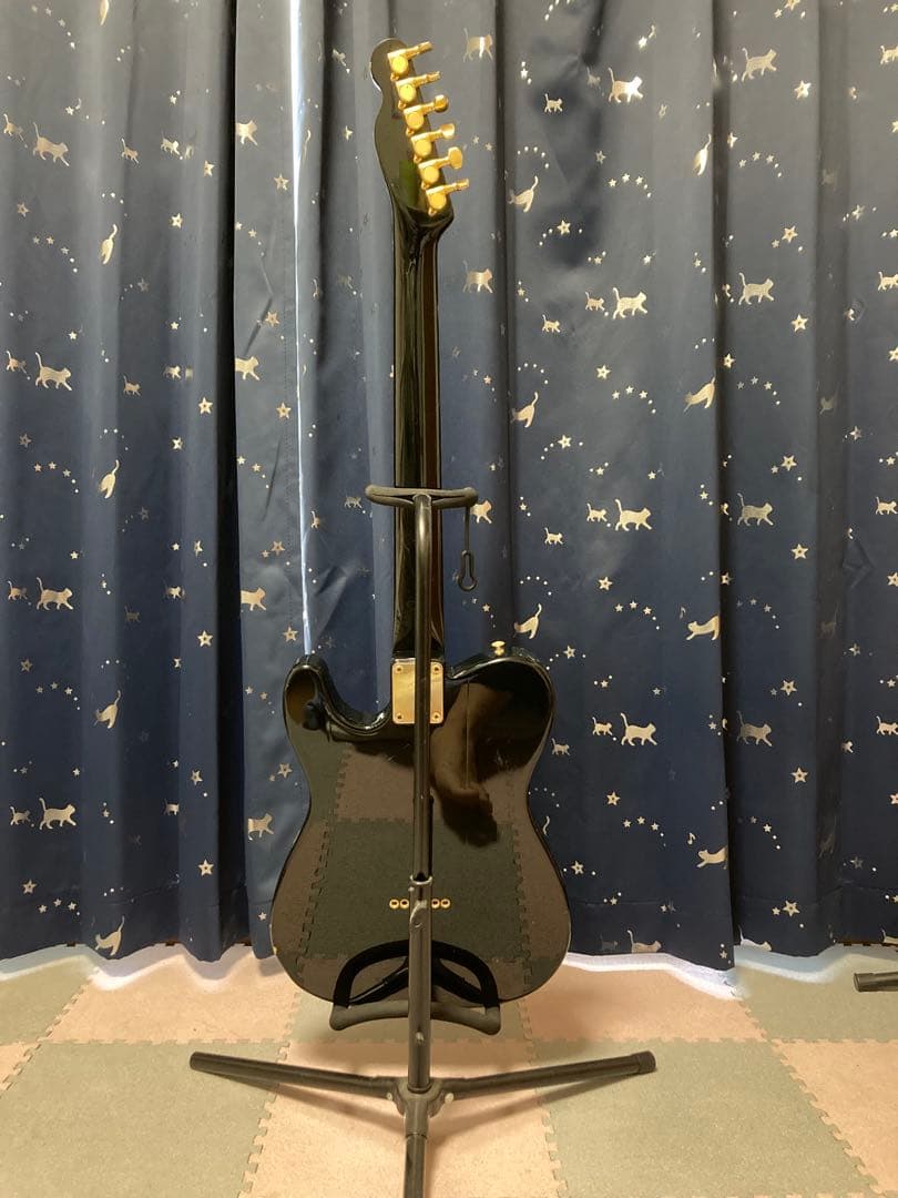 Fender Japan TLG80-60 （フェンダージャパン）