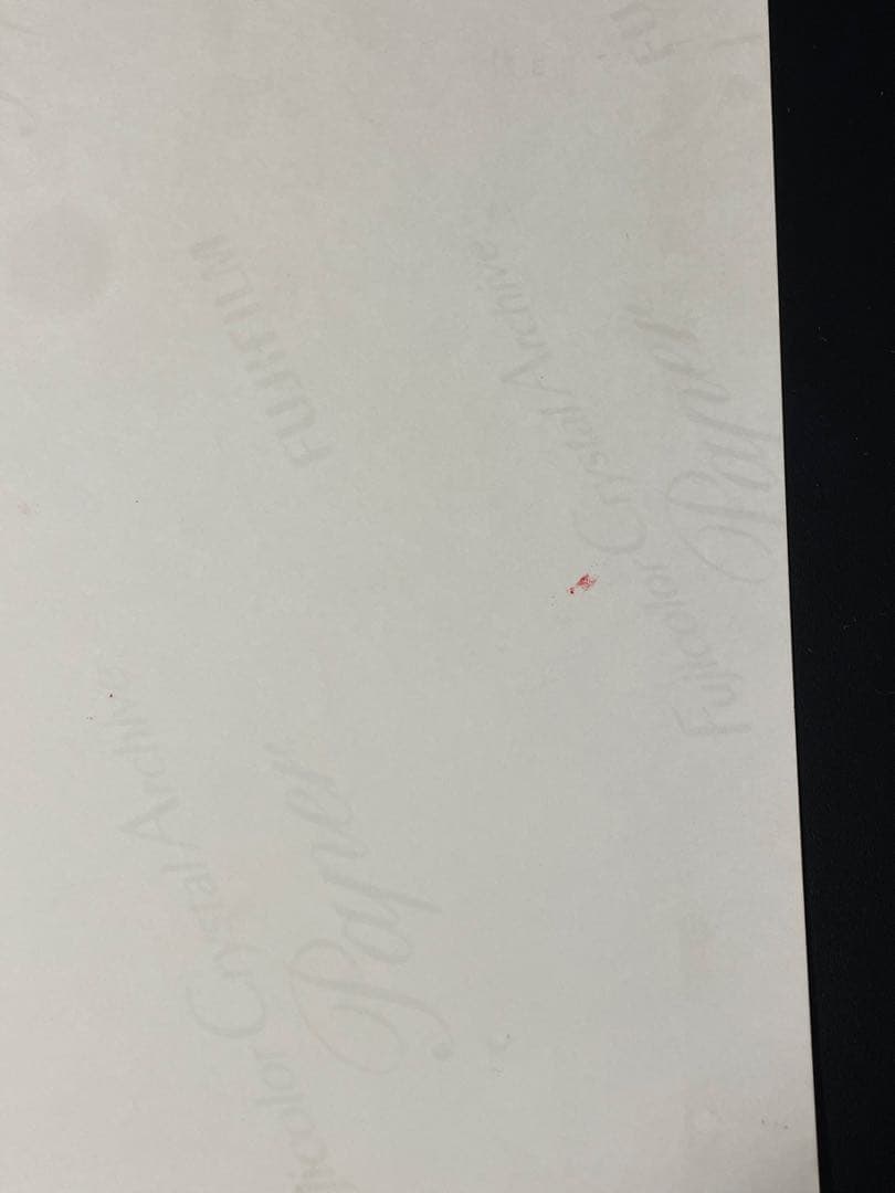 RWBY 直筆サイン入りポスター　JSA認定書付き　④