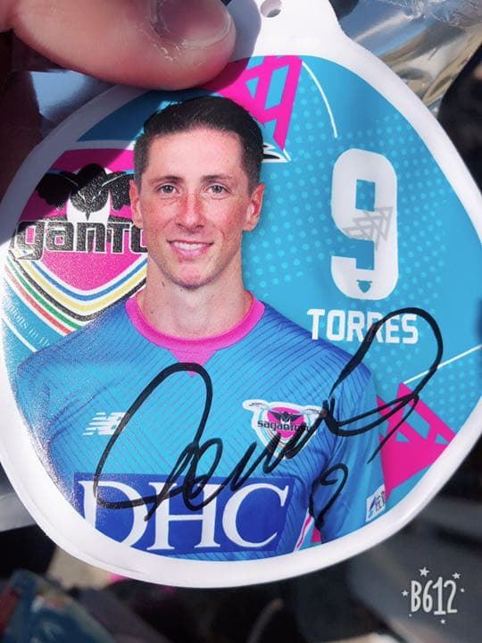 フェルナンドトーレス 直筆サイン グッズ