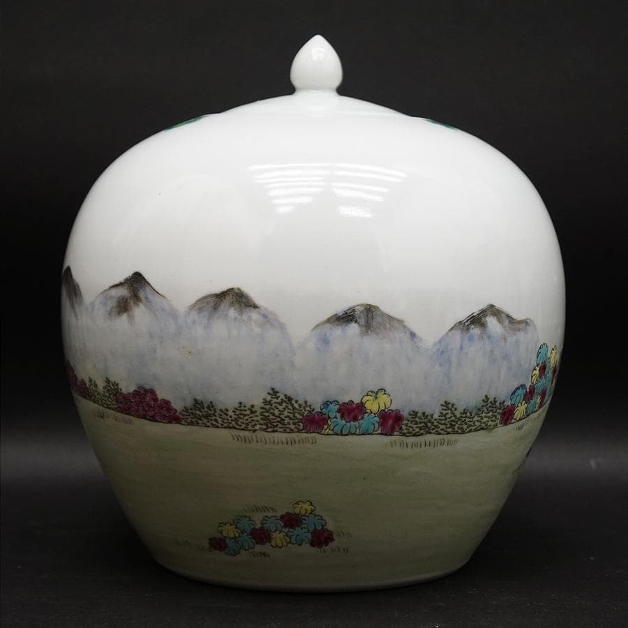 中国美術 中国古玩 蓋付飾壺 将軍罐 沈香壷 壷 唐物 時代 骨董 古美術品