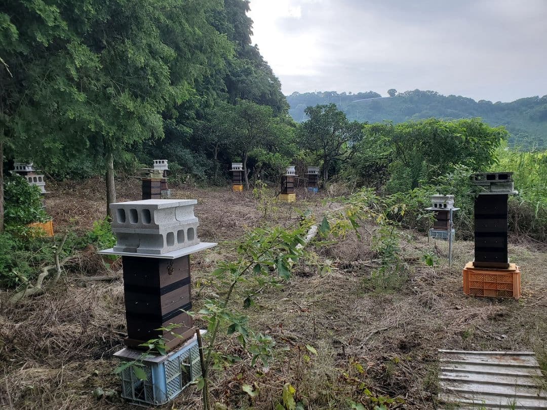 No.9　★日本蜜蜂のはちみつ★1200g(1瓶)